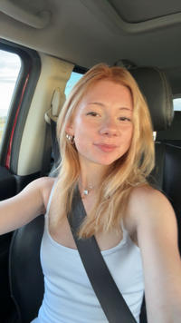 Gingerb17