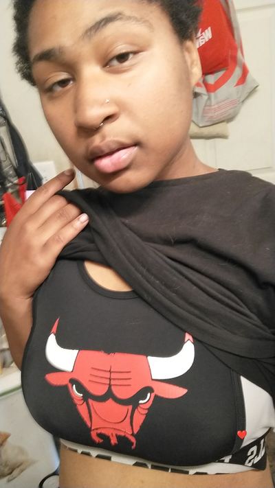 Shorthairedebony Picture