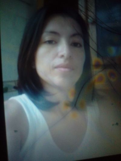Rosa merino Picture