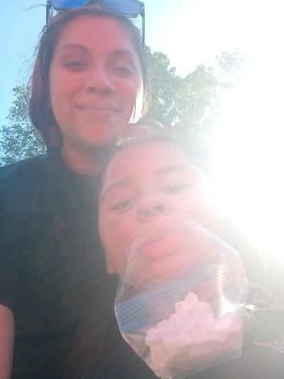 Latinapicosita Picture