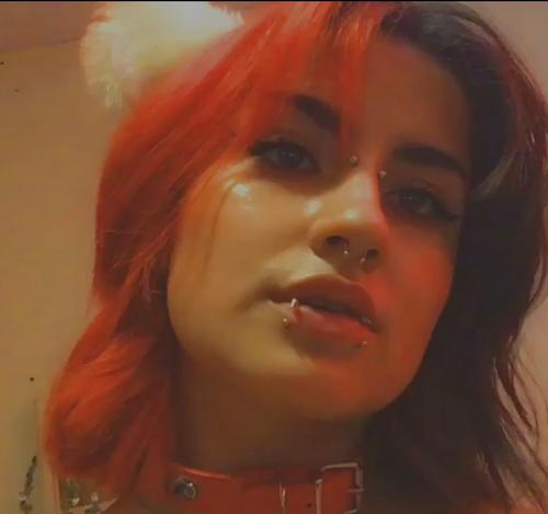 KittenCherry