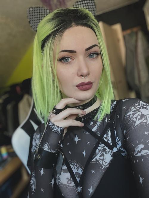 DataKitten