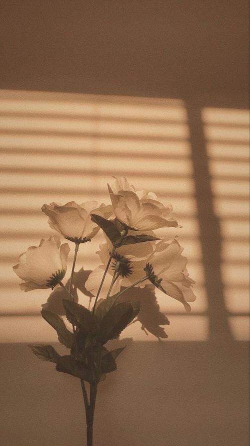 Ana.smith