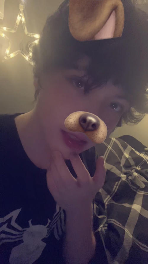tboybunny 